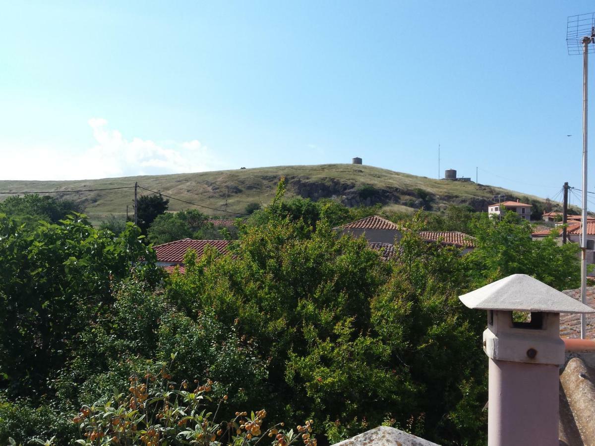 Repanidi Apartment D / Ρεπανίδι Διαμέρισμα Δ Repanidhion Exteriér fotografie